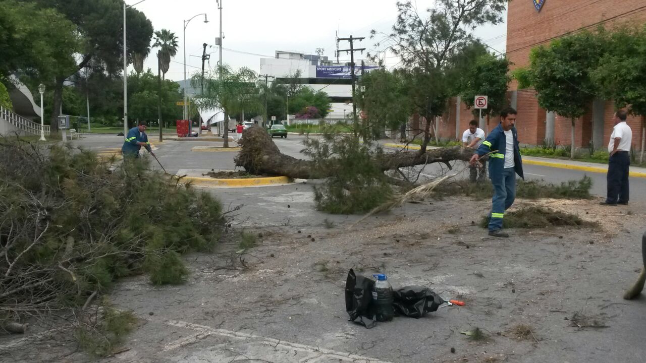 Los fuertes vientos también han dejado sin servicio de energía eléctrica a diferentes sectores. 
