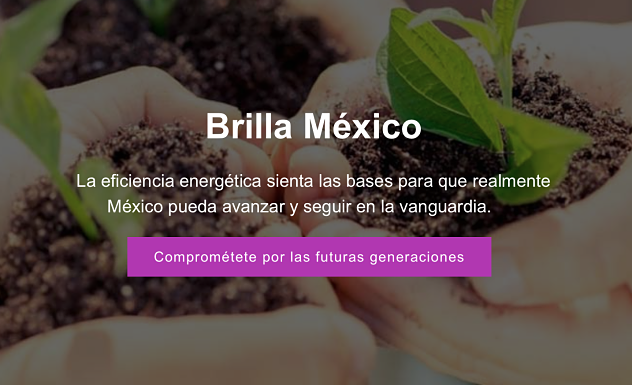 "Los jóvenes deben mirar esas nuevas opciones que representan el futuro del país".