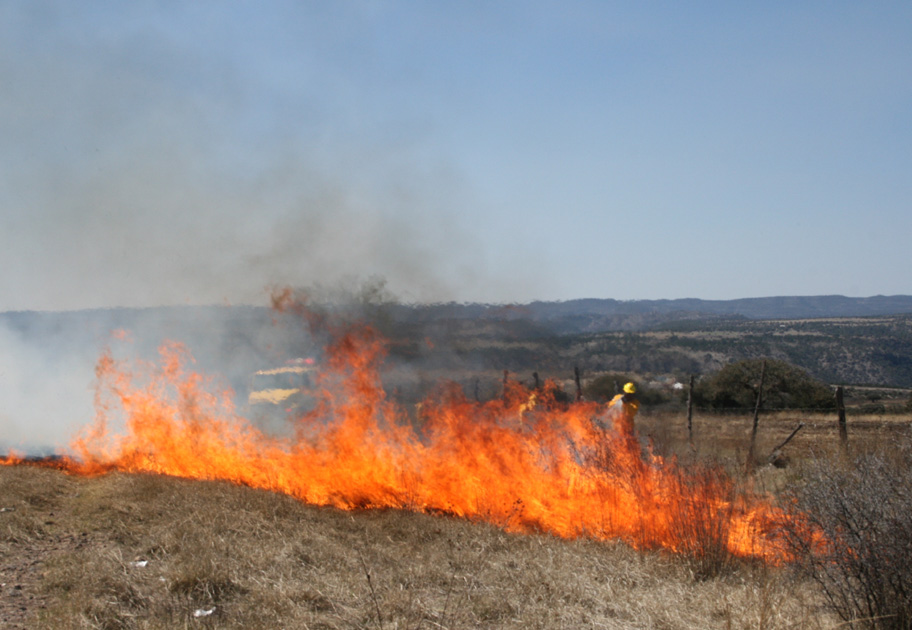 En un comparativo con el 2014, la CONAFOR reporta que a la fecha se tenían 75 incendios con una afectación de mil 404 hectáreas. 