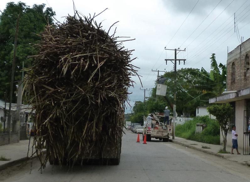 Los camiones cañeros estresan en la zona urbana de Pánuco.