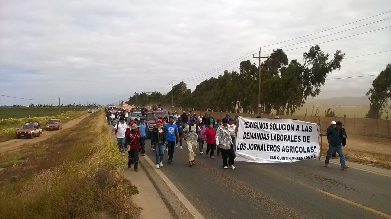 Los jornaleros realizan una marcha hacia San Quintín.