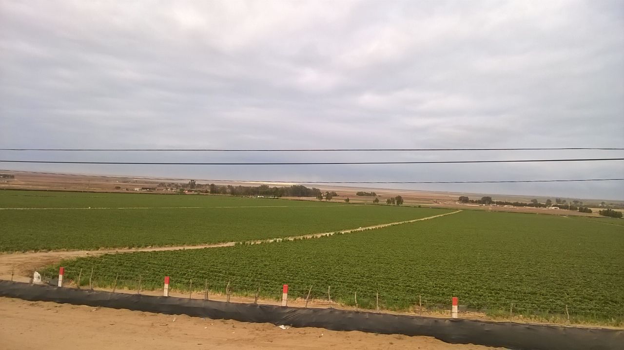 La marcha recorrerá unos 20 kilómetros, desde la comunidad Vicente Gurrero hasta el Valle de San Quintín