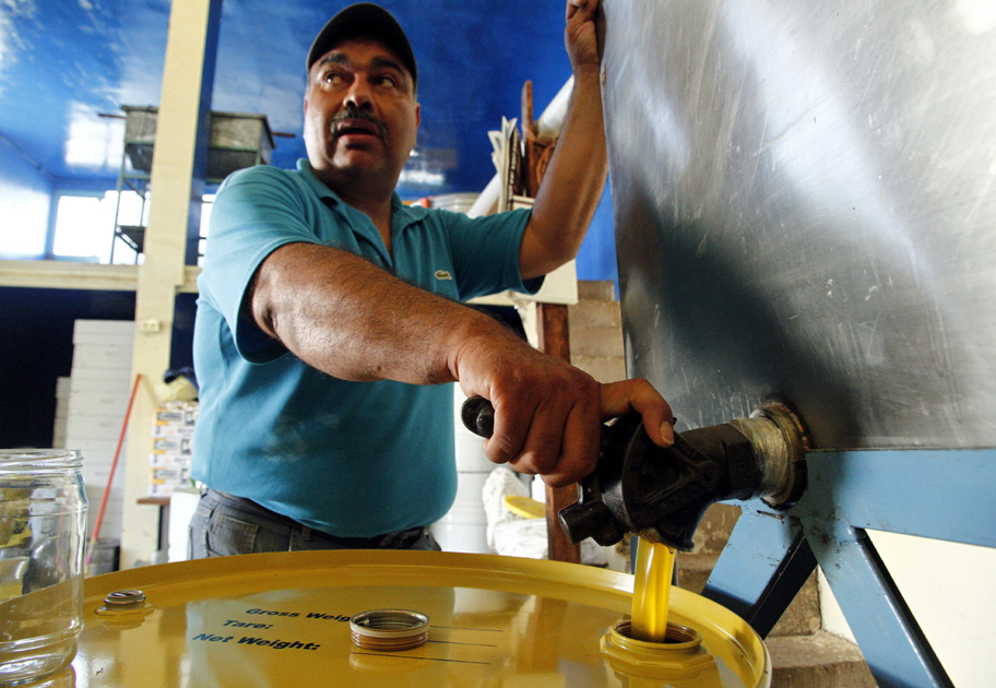 Será un buen año para la producción de miel.