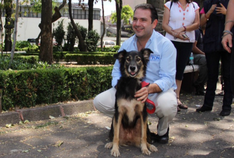 Christian von Roehrich, candidato del PAN a jefe delegacional en Benito Juárez, hizo una propuesta para la tenencia responsable de animales en esa dem