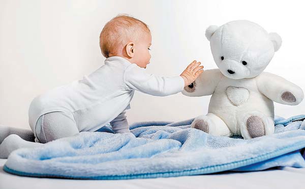 "Teddy the Guardian" tiene que pasar el proceso al que lo sometieron para recibir certificaciones y autorizaciones oficiales.