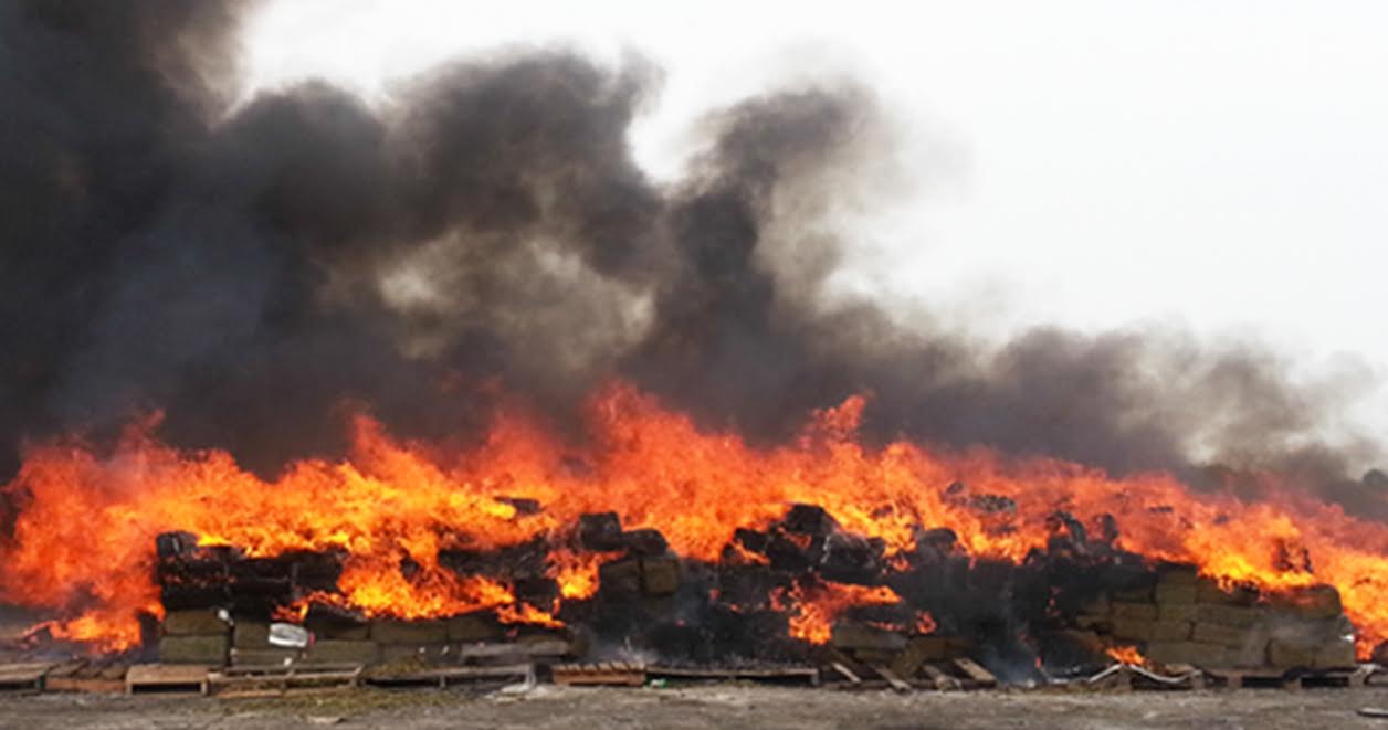 La droga fue incinerada por la PGR.