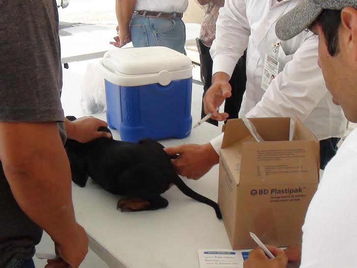 Buscan evitar el brote del virus en esa frontera.