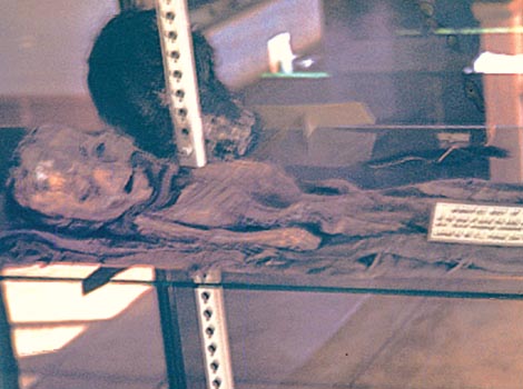 Jaime Maussan presentó lo que afirma son pruebas de que existe la vida extraterrestre.