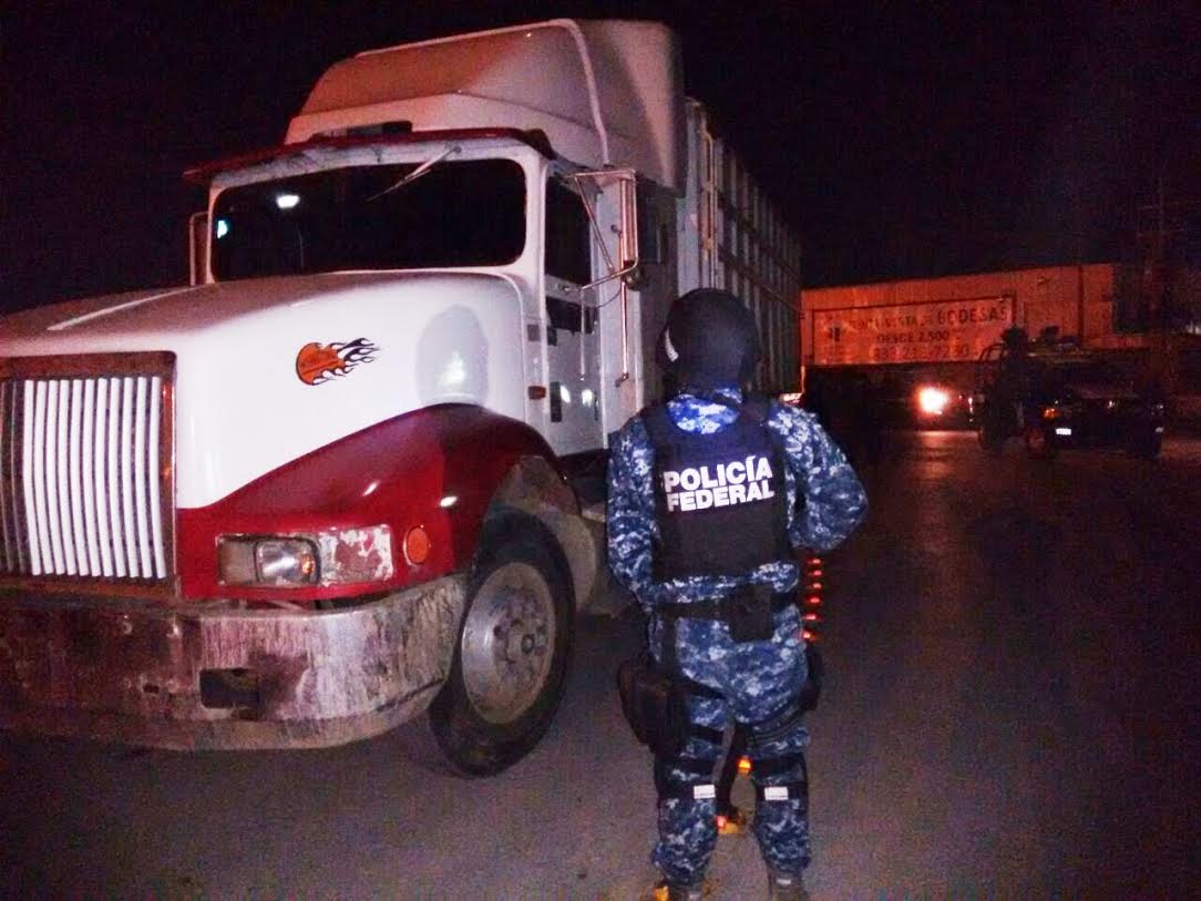 Personal de la Gendarmería Nacional llevaron a cabo el aseguramiento.