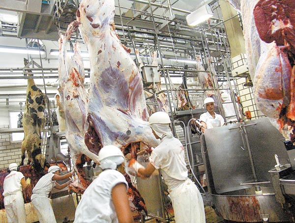 Los ingresos por las ventas de res bajaron 29 por ciento en la región. 