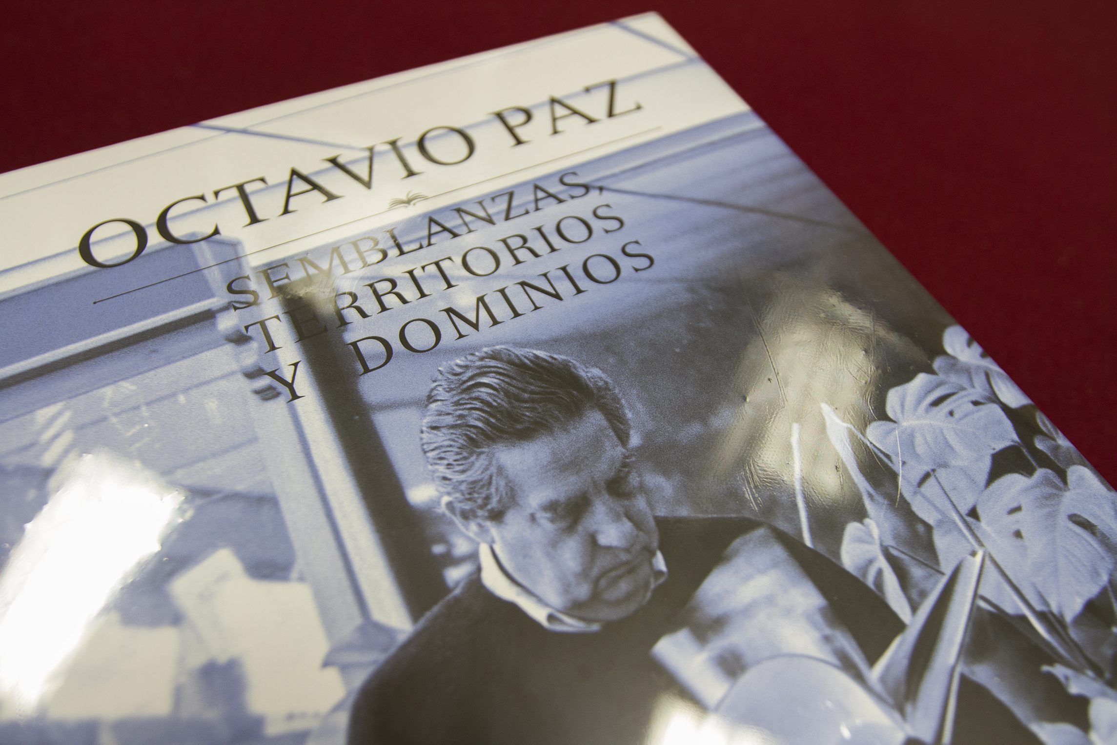 Imagen del libro presentado este miércoles. 