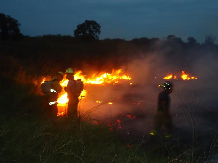 Bomberos de SLP trabajando.