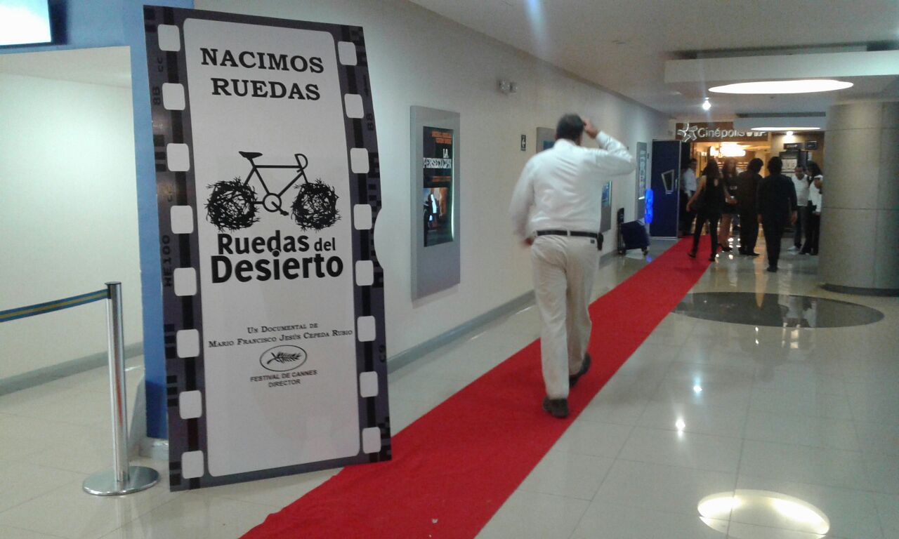 "Nacimos Ruedas", 4 años de andar en bici en La Laguna. 