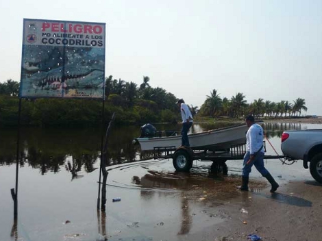La Semarnat autorizó la captura de cocodrilos a fin de realizarles lavado interno y poder encontrar restos del menor y confirmar sí fue devorado por e