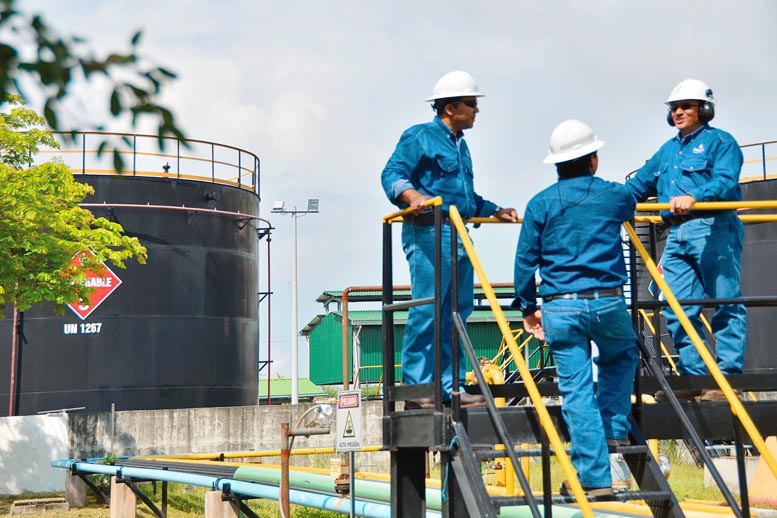 Alfa y Harbour Energy acordaron la compra de Pacific Rubiales Energy por 6 mil mdd canadienses.