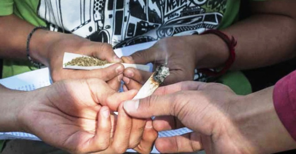 La mariguana es la droga de mayor consumo entre la población mexicana, al pasar de 3.8% en 2002, a 4.4% en 2008.
