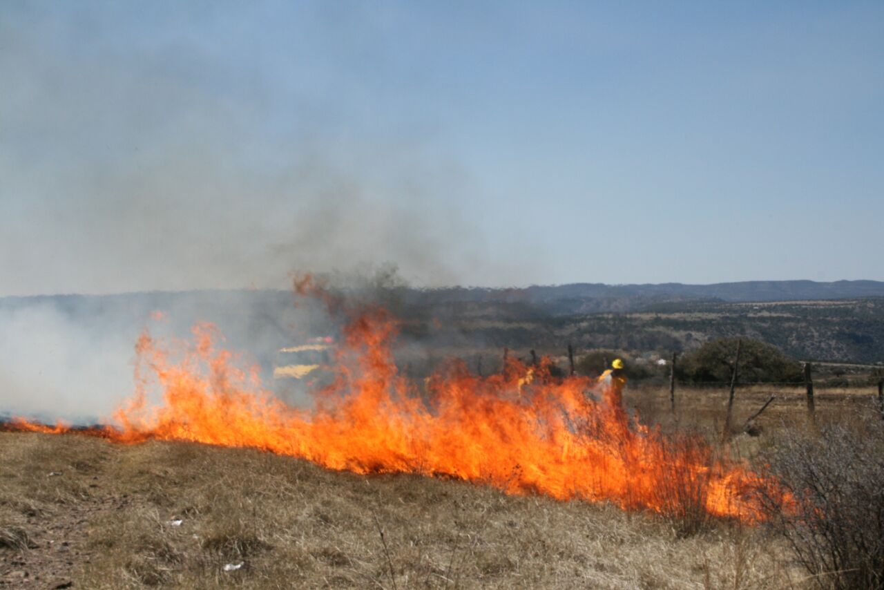 "Un aumento en la temperatura significa también mayor riesgo para un incendio".