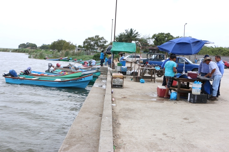 Vendedores informales de mariscos merman las ventas a comercio establecido.