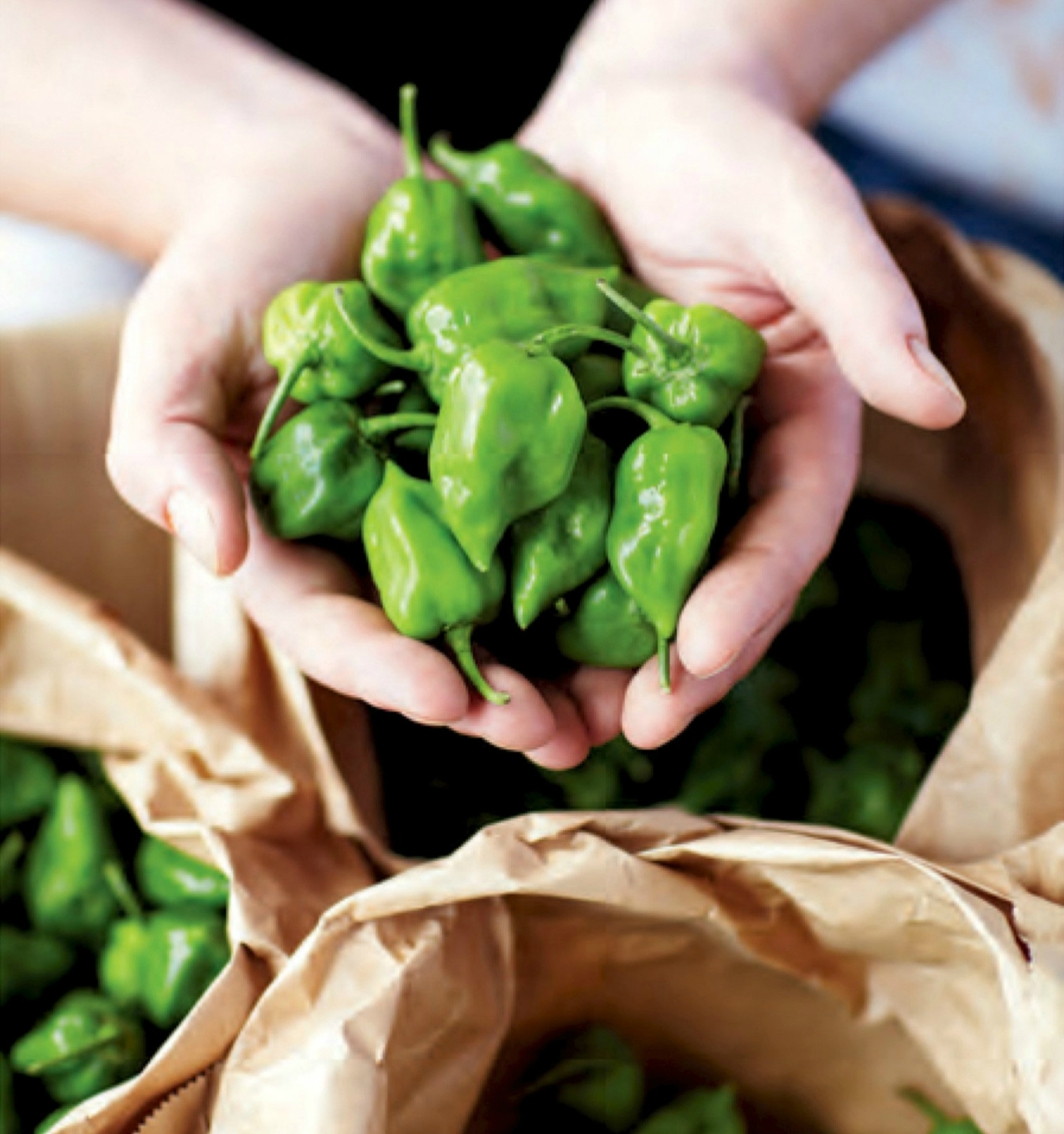 El chile es uno de los productos que se promoverán a nivel internacional.