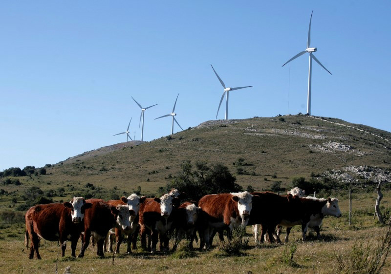 Parque de energía eólica.