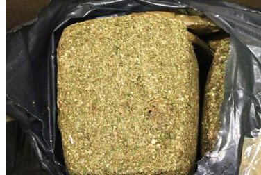Traía dos paquetes de forma cuadrada envueltos en cinta canela, que al interior traían hierba verde y seca con las características de la mariguana.