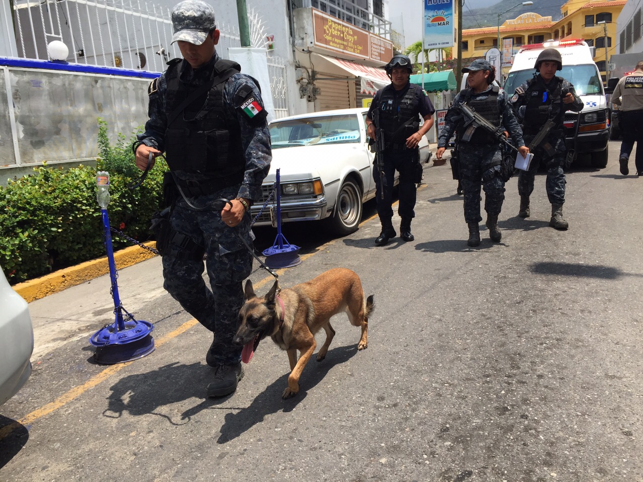 La policía llegó con perros para buscar el artefacto explosivo.