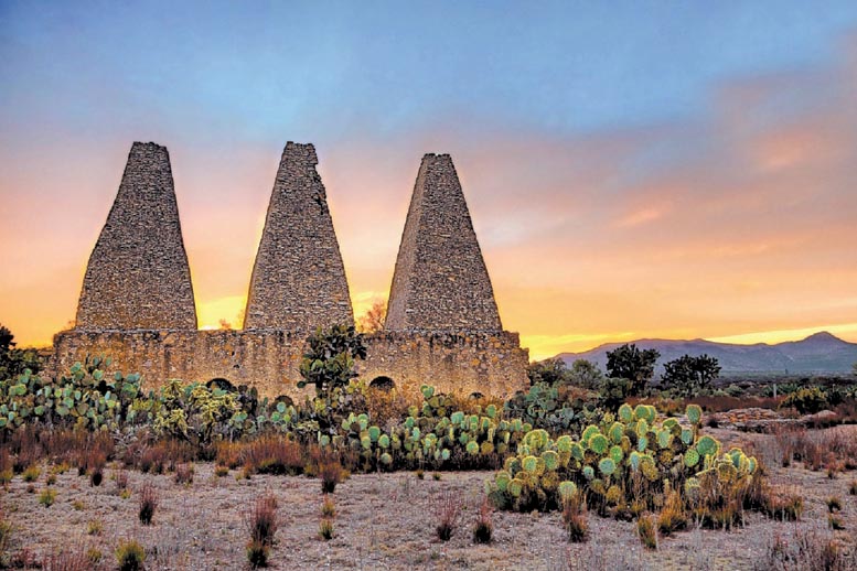 “La flora y la fauna me encantaron”.