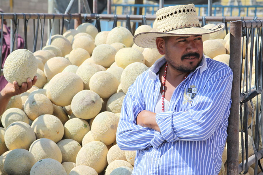 Productores deben encontrar un canal de comercialización directo.