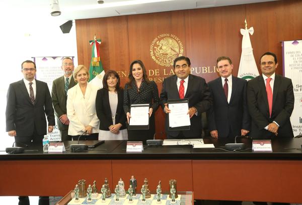 La presidenta del Instituto Nacional de Acceso a la Información, Ximena Puente, entregó el informe de 2014 al Congreso.