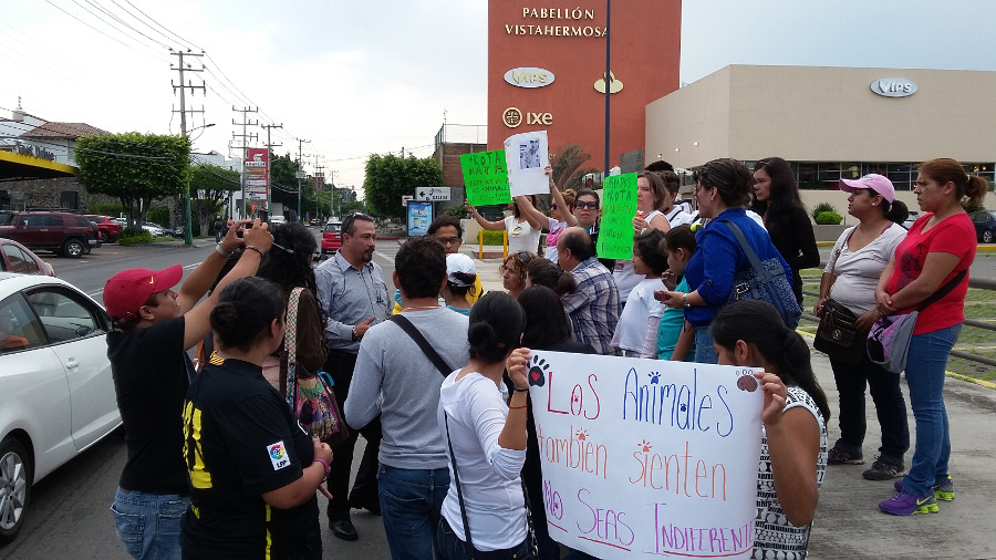 Defensores de animales exigieron el cierre de las tiendas +Kota en todo el país.