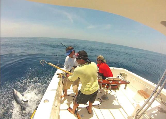 pesca deportiva