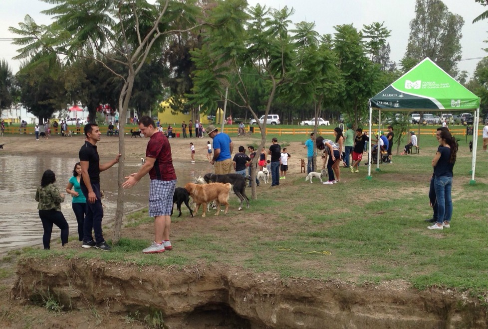 Se llegaron a reunir hasta 150 personas y alrededor de 70 canes en esta área.