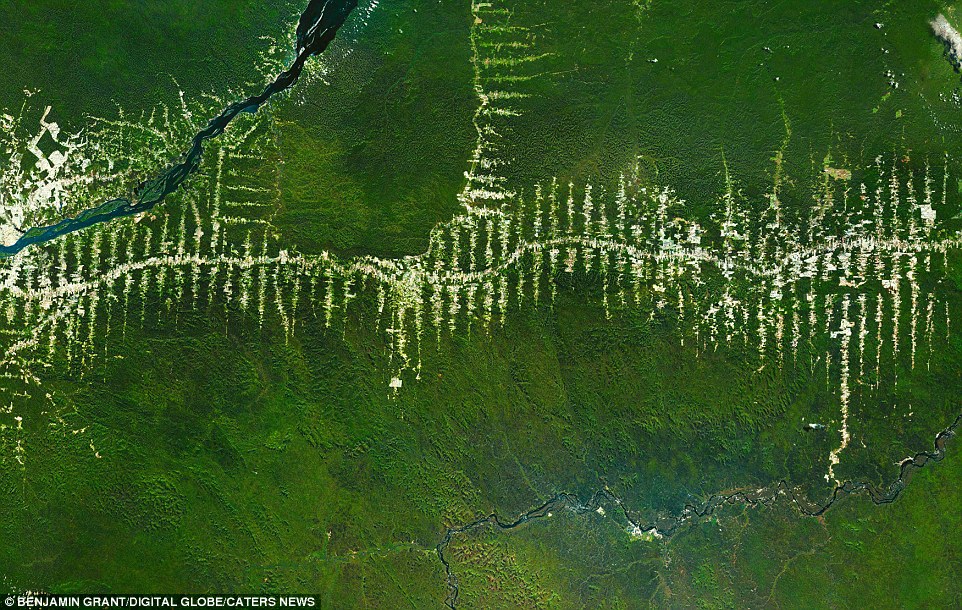 Grant también quiere hacer conciencia sobre el medio ambiente, como en esta foto que muestra la deforestación del Amazonas. 