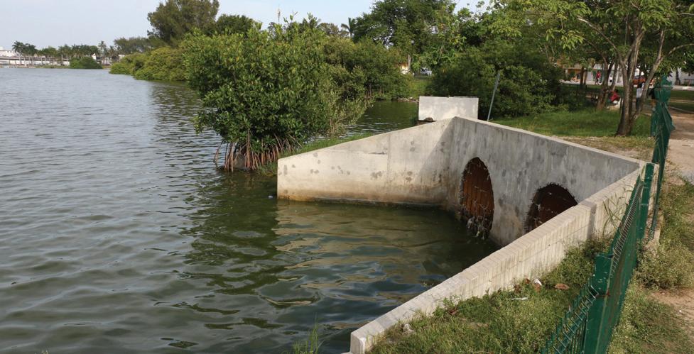 Las aguas negras de habitantes y calles de la ciudad van a parar al cuerpo de agua.