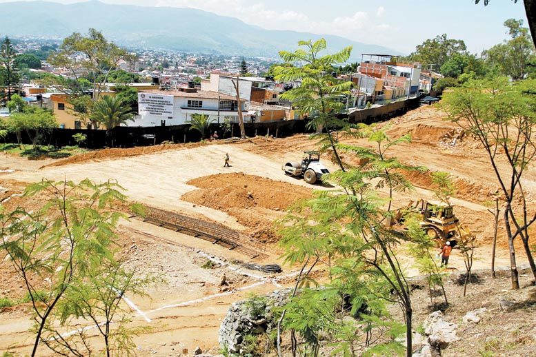 La zona donde pretende construirse el centro de convenciones es considerada área de reserva natural.