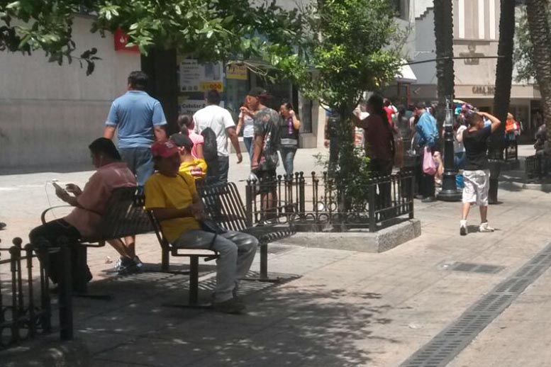 Buscan mitigar el calor. 