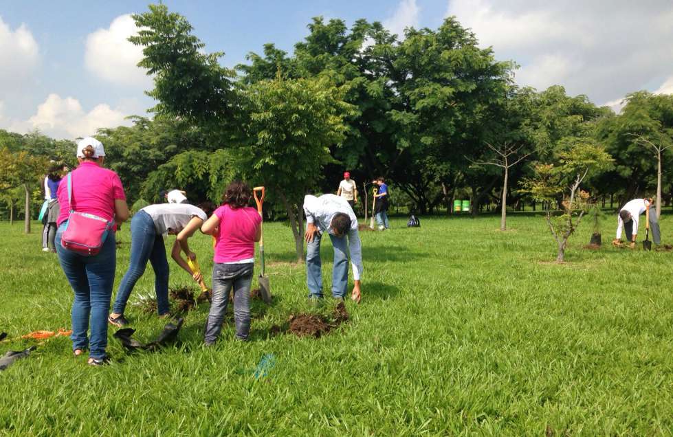 La meta con el proyecto de bosque urbano es lograr tener en la ZMG un árbol por cada ciudadano que la habita.