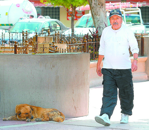 Los activistas en pro de los derechos de los animales, son escasos en La Laguna de Durango.