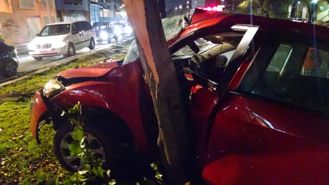 Un automovilista que circulaba por el lugar vio los restos humanos y al intentar esquivarlos chocó contra un árbol. 