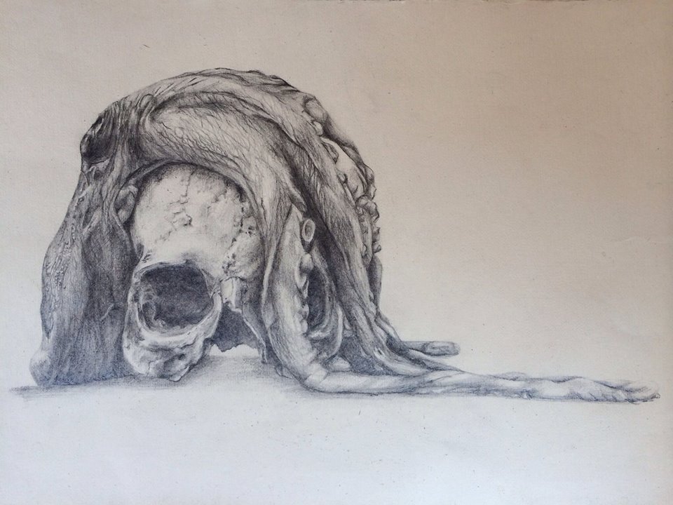 Dibujo en grafito de Renata Petersen