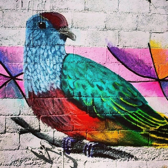 En estos días la población se despierta experimentando un inusitado boom del Arte Urbano.