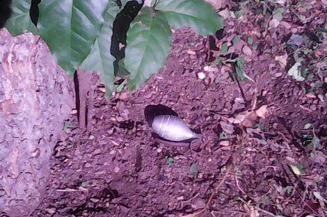 La granada fue encontrada en una bolsa con el seguro. 