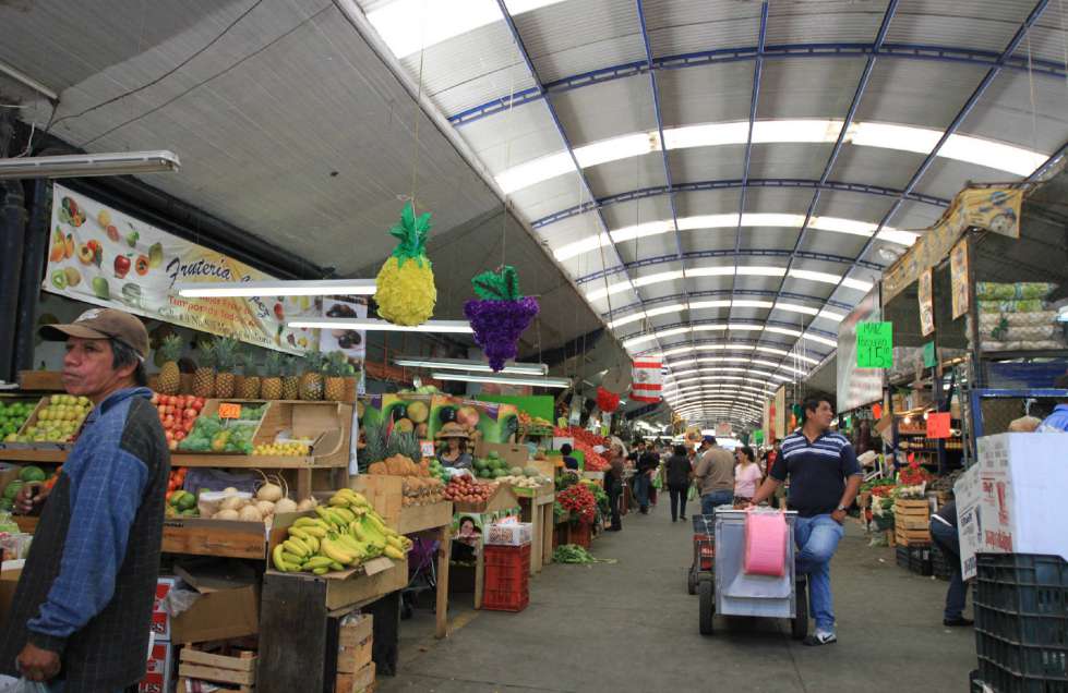 Un informe de la OMS y la FAO publicado recientemente recomienda como objetivo poblacional la ingesta de un mínimo de 400 g diarios de frutas y verdur