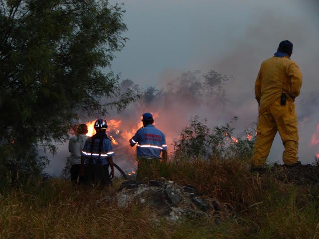 Se registran gran cantidad de incendio a causa de las altas temperaturas.