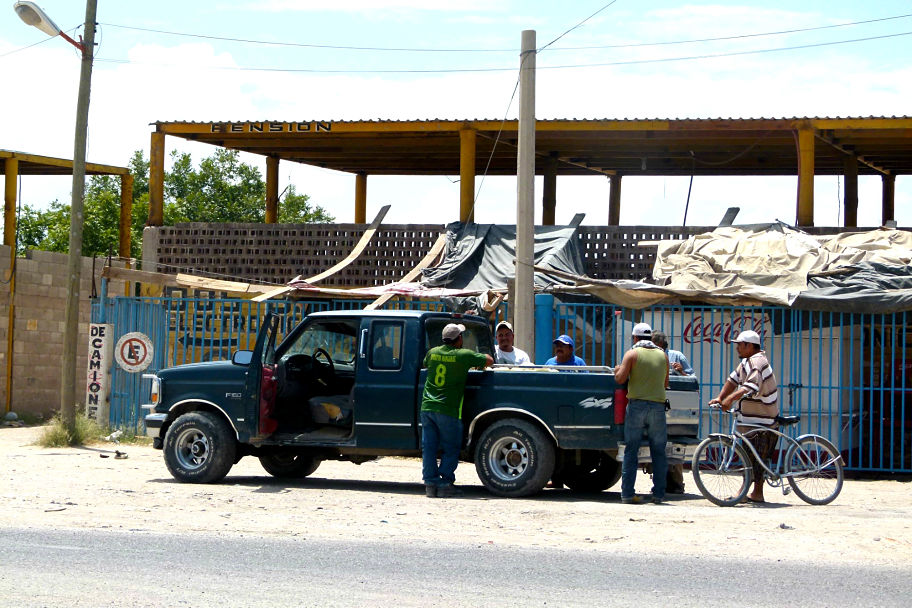 Los productores esperan buenas ganancias con la producción de melón tardío.