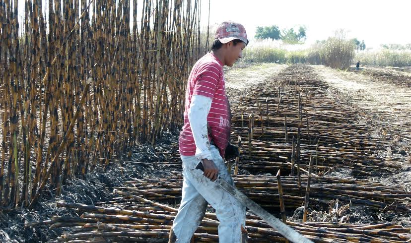 Los menores podrían ser explotados.