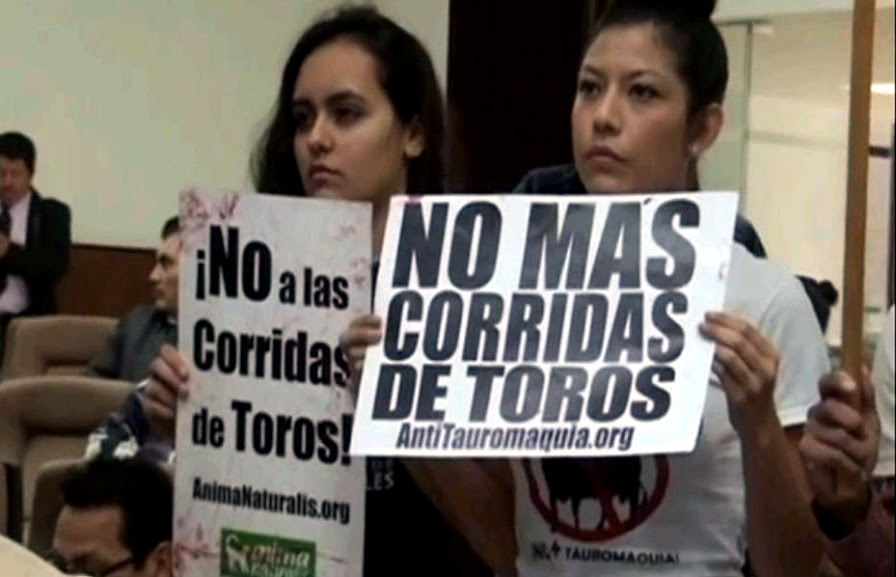 En Durango impiden prohibir la fiesta brava. 