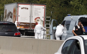 Oficiales forenses permanecen junto al camión donde fueron hallados los cadáveres, en la autopista cerca de Neusiedl am See