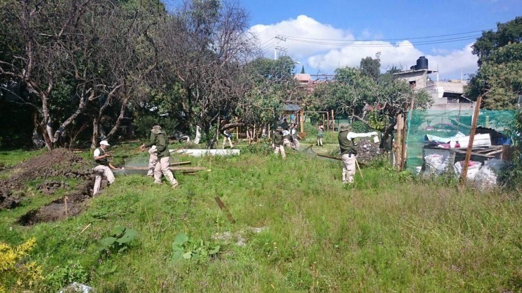La Secretaría del Medio Ambiente de la Ciudad de México recuperó 9 hectáreas  de Suelo de Conservación en la delegación Tlalpan.