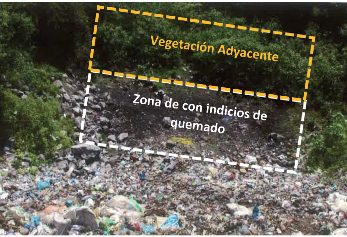 Imagen del basurero Municipal de Cocula antes de la eliminación de la vegetación adyacente a la zona con indicios de quemado.